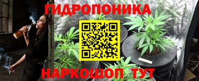 ешки Гай