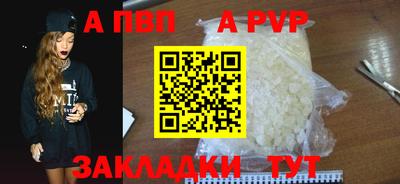ешки Гай