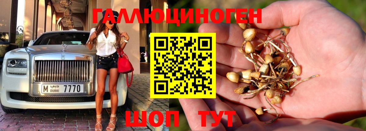 Орёл  Псилоцибиновые грибы GOLDEN TEACHER  Галлюциногенные грибы Cubensis  Вход с VPN 