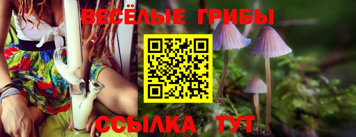 Псилоцибиновые грибы GOLDEN TEACHER Орёл